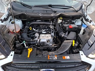 Ford EcoSport ST-Line 1.0 EcoBoost KLIMA / NAVI / LED / SITZHEIZUNG - foto 6