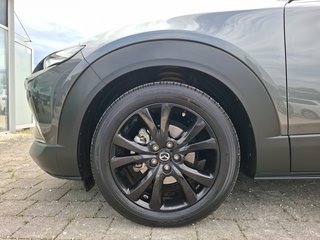 Mazda CX-30 Homura 2.0 2WD AUTOMATIK / NAVI / KAMERA / SITZHEIZUNG - bilder 13