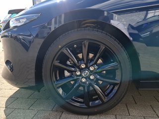 Mazda 3 2.5L G 140PS 6AG Homura - bilder 8