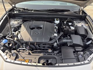 Mazda CX-30 2.5 140PS 6MT Homura - bilder 7