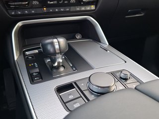 Mazda CX-60 Homura 2.5 eHybrid AWD AUTOMATIK / SCHIEBEDACH / ACC - foto 4