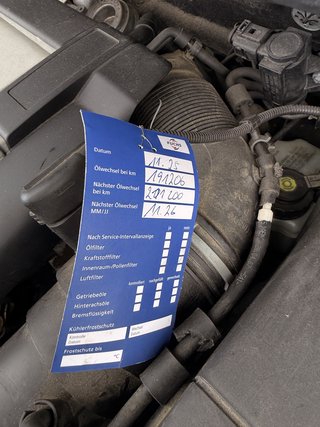 Volkswagen Golf Plus Cross / NAV / ALU / - bilder 18