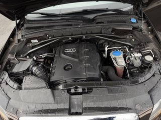 Audi Q5 2.0 TFSI 155 kW quattro  Quattro DSG Dachreling - foto 20