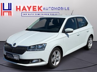 Skoda Fabia Gebrauchtwagen Kaufen