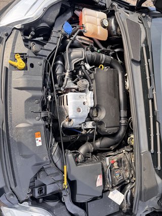 Ford Focus Turnier Champions Edition / ST / - bilder 19