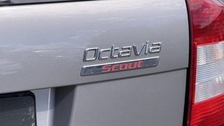 Skoda Octavia Combi Scout 4X4 4x4/ Injektoren Probleme - bilder 9