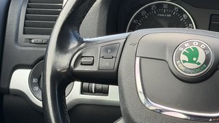 Skoda Octavia Combi Scout 4X4 4x4/ Injektoren Probleme - bilder 15