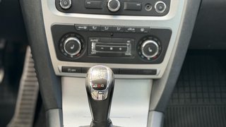 Skoda Octavia Combi Scout 4X4 4x4/ Injektoren Probleme - bilder 17
