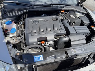 Skoda Octavia Combi Scout 4X4 4x4/ Injektoren Probleme - bilder 27