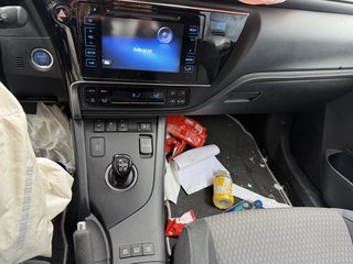 Toyota Auris Hybrid Team D - bilder 16