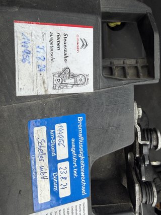 Peugeot Expert Kasten Premium L2/KAM/Navi/Schiebetür L+R - foto 22