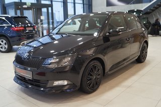 Skoda Fabia Gebrauchtwagen Kaufen