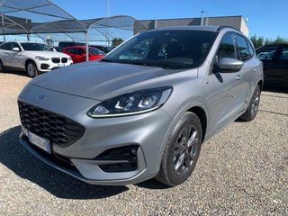 Ford Kuga Gebrauchtwagen Kaufen