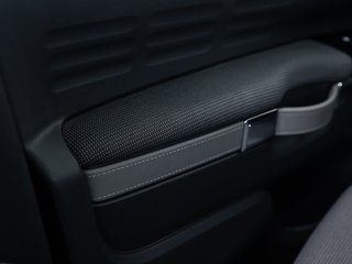 Citroën C4 Cactus 1.6 HDI PANO RFK SHZ TEMP - bilder 12