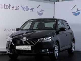 Skoda Fabia Gebrauchtwagen Kaufen