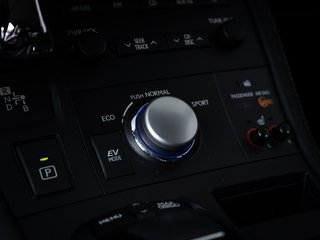 Lexus CT 200h Dynamic LED TEMP RFK - bilder 8