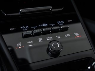Porsche Cayenne Coupe E-Hybrid ACC LUFT BOSE HUD 360° - foto 3