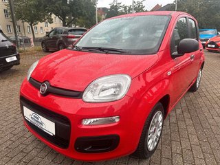 Fiat Panda Gebrauchtwagen Kaufen