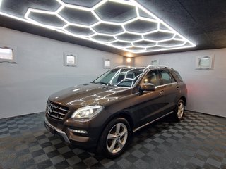 Mercedes-Benz ML 250 Gebrauchtwagen Kaufen