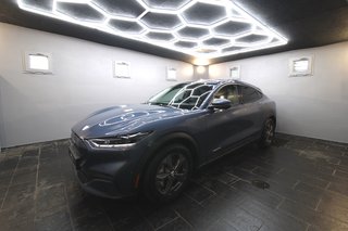 Ford Mustang Mach-E Gebrauchtwagen Kaufen