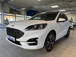 Ford Kuga Gebrauchtwagen Kaufen