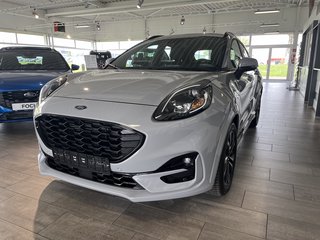 Ford Puma Gebrauchtwagen Kaufen
