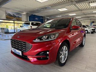 Ford Kuga Vorführfahrzeug Kaufen