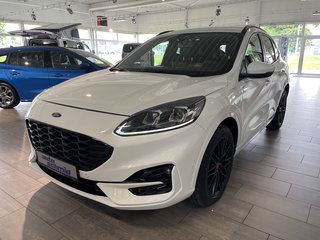 Ford Kuga Gebrauchtwagen Kaufen