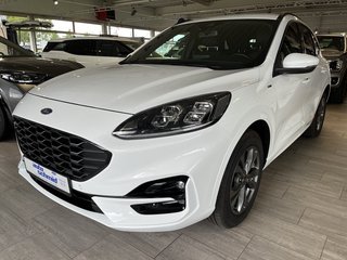 Ford Kuga Gebrauchtwagen Kaufen