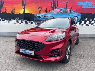 Ford Kuga Gebrauchtwagen Kaufen