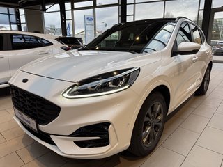 Ford Kuga Gebrauchtwagen Kaufen