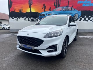 Ford Kuga Gebrauchtwagen Kaufen