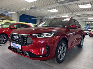 Ford Kuga Vorführfahrzeug Kaufen