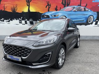 Ford Kuga Gebrauchtwagen Kaufen