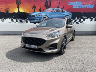 Ford Kuga Gebrauchtwagen Kaufen