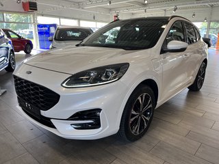 Ford Kuga Gebrauchtwagen Kaufen