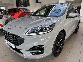 Ford Kuga Gebrauchtwagen Kaufen