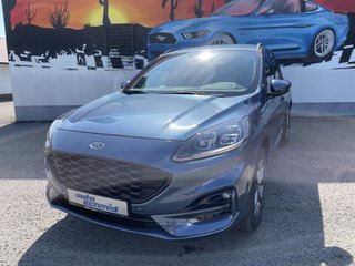 Ford Kuga age.one-day registration Kaufen