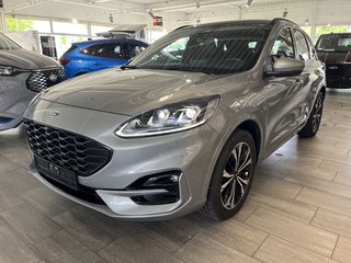 Ford Kuga Gebrauchtwagen Kaufen