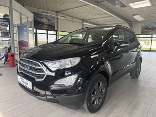 Ford EcoSport Gebrauchtwagen Kaufen
