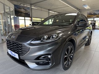Ford Kuga Gebrauchtwagen Kaufen