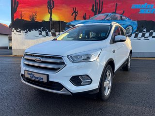Ford Kuga Gebrauchtwagen Kaufen
