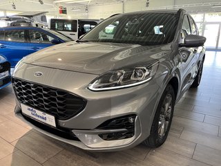 Ford Kuga Gebrauchtwagen Kaufen