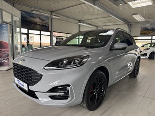 Ford Kuga Gebrauchtwagen Kaufen