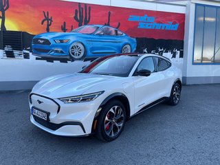 Ford Mustang Mach-E Gebrauchtwagen Kaufen