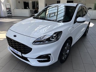 Ford Kuga Gebrauchtwagen Kaufen