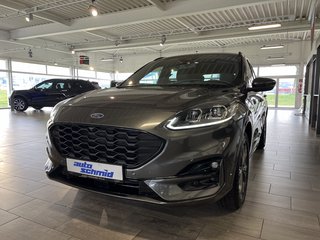 Ford Kuga Gebrauchtwagen Kaufen