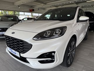 Ford Kuga Gebrauchtwagen Kaufen