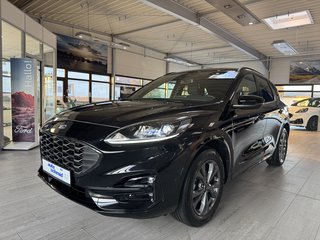 Ford Kuga Gebrauchtwagen Kaufen