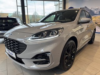 Ford Kuga Gebrauchtwagen Kaufen
